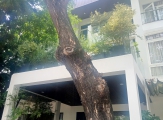 Anh Trọng- Euro village