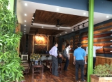 Các loại cây hút khí độc trong nhà và văn phòng cực tốt