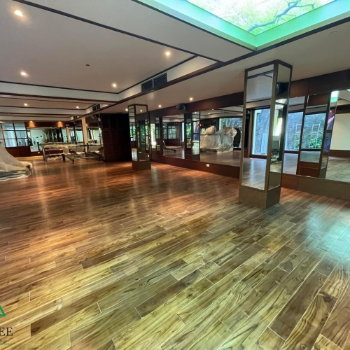 Loạt ảnh về chúng tôi