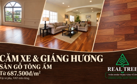 CĂM XE VÀ GIÁNG HƯƠNG: CHỌN SÀN GỖ ẤM, SANG VÀ HỢP VỚI NỘI THẤT