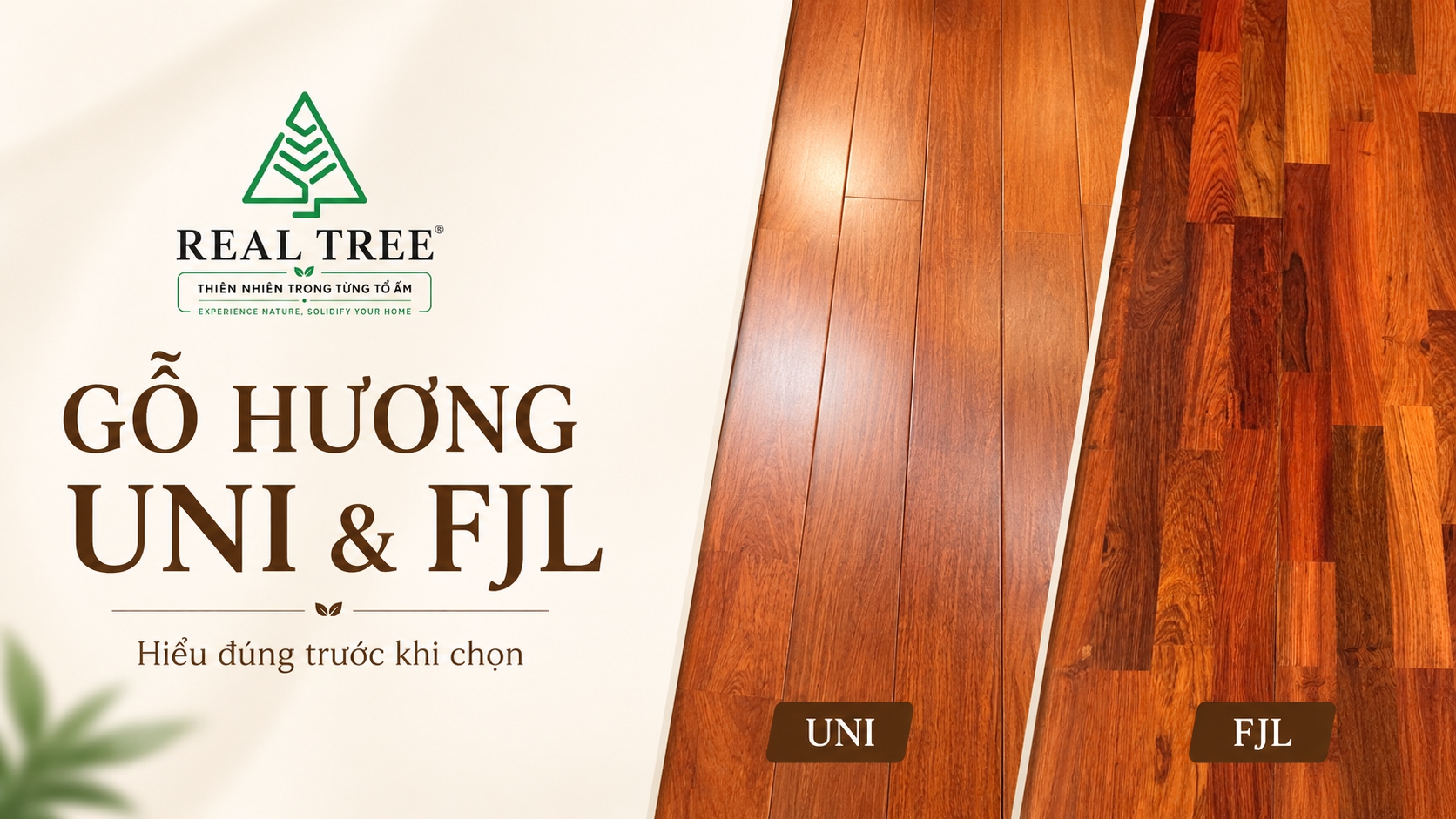 Gỗ Hương UNI và FJL: hai cách thể hiện, một giá trị tự nhiên