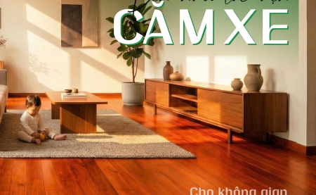Gỗ Căm Xe – Giải Pháp Bền Vững Cho Không Gian Sống Lâu Dài