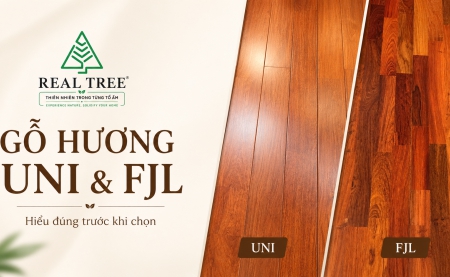 Gỗ Hương UNI và FJL: hai cách thể hiện, một giá trị tự nhiên