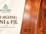 Gỗ Hương UNI và FJL: hai cách thể hiện, một giá trị tự nhiên