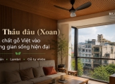 Gỗ Thầu đâu (Xoan) – Đưa chất gỗ Việt vào không gian sống hiện đại