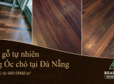 Sàn gỗ tự nhiên tông Óc chó tại Đà Nẵng, giá chỉ từ 600.000đ/m²