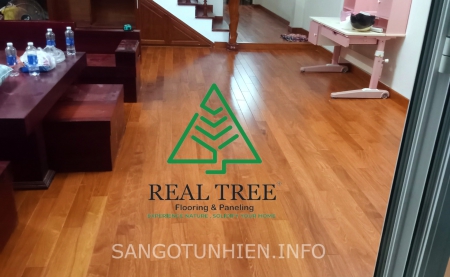 Sàn Gỗ Căm Xe – Sự Lựa Chọn Bền Lâu Cho Mọi Công Trình