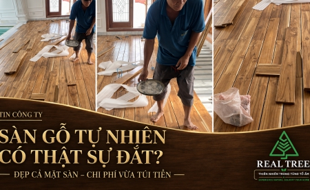 Sàn gỗ tự nhiên có thật sự đắt như mình nghĩ?