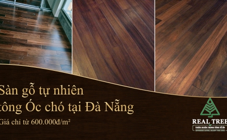 Sàn gỗ tự nhiên tông Óc chó tại Đà Nẵng, giá chỉ từ 600.000đ/m²