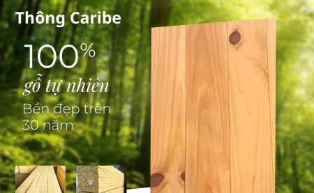 Tấm ốp tường, ốp trần gỗ Thông Caribe tại Lâm Đồng – Bền đẹp, sang trọng cho mọi không gian