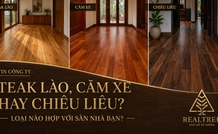 Nhà ở Đà Nẵng nên chọn sàn gỗ gì? So sánh Teak Lào, Căm xe và Chiêu liêu