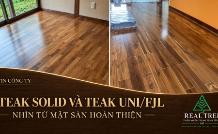 Teak Solid và Teak UNI/FJL: Nhìn từ mặt sàn hoàn thiện