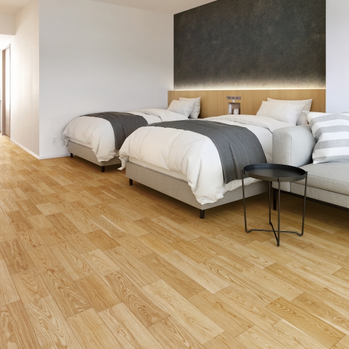 Loạt ảnh về chúng tôi