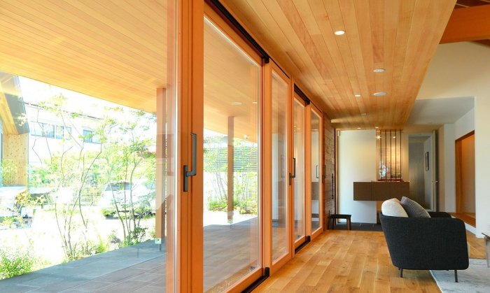 TRẦN THÔNG CARIBE