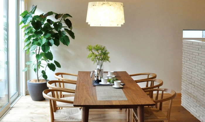 TRẦN THÔNG CARIBE