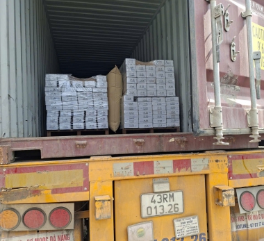 Sàn Gỗ Thông 2 Lá (Pinus Merkusii) xuất Nhật 14.11.2025