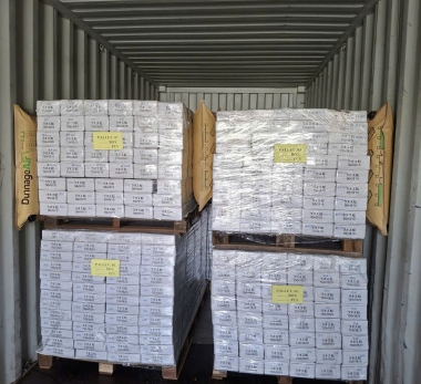 Sàn Gỗ Thông 2 Lá (Pinus Merkusii) xuất Nhật 14.11.2025