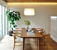 TRẦN THÔNG CARIBE